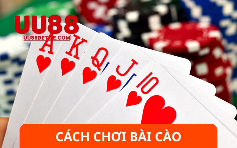 Hướng Dẫn Cách Chơi Bài Cào Thành Thần Bài